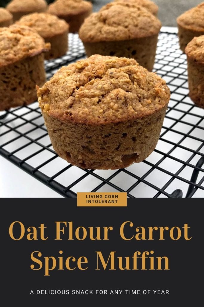 spiced carrot muffins - oat flour, carrots, spices, orange juice